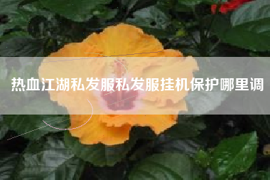 热血江湖私发服私发服挂机保护哪里调
