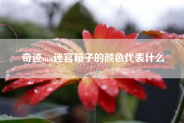 奇迹mu迷宫箱子的颜色代表什么