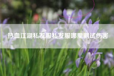 热血江湖私发服私发服哪里测试伤害