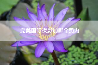 完美国际夜影加哪个势力