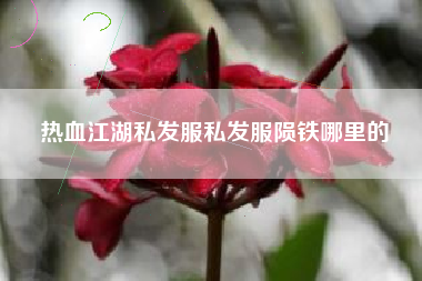 热血江湖私发服私发服陨铁哪里的