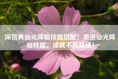 深宫典仙光降临技能搭配：激活仙光降临技能，成就不凡战绩！