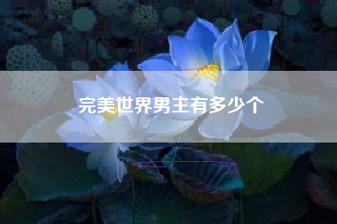完美世界男主有多少个