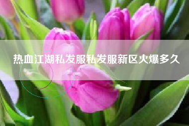 热血江湖私发服私发服新区火爆多久