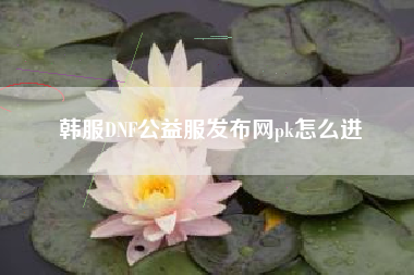 韩服DNF公益服发布网pk怎么进