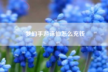 梦幻手游诛仙怎么充钱