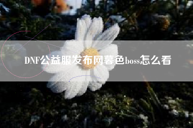 DNF公益服发布网暮色boss怎么看