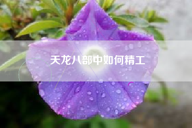 天龙八部中如何精工