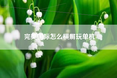 完美国际怎么横屏玩单机