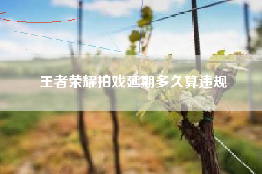 王者荣耀拍戏延期多久算违规