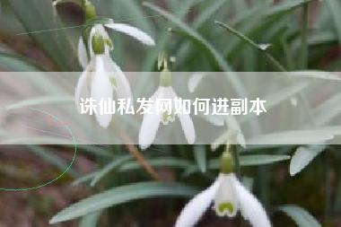 诛仙私发网如何进副本