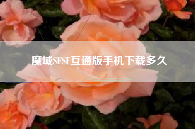魔域SFSF互通版手机下载多久