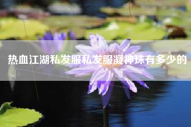 热血江湖私发服私发服凝神珠有多少的
