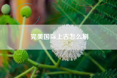 完美国际上古怎么刷