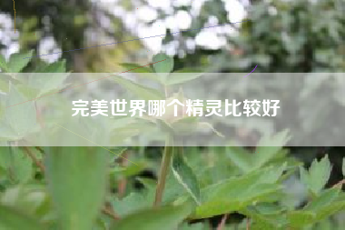 完美世界哪个精灵比较好