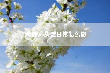 奇迹mu战盟日常怎么做