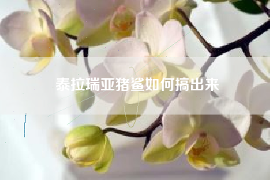泰拉瑞亚猪鲨如何搞出来
