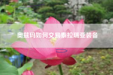 奥兹玛如何交易泰拉瑞亚装备