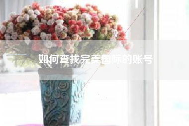 如何查找完美国际的账号