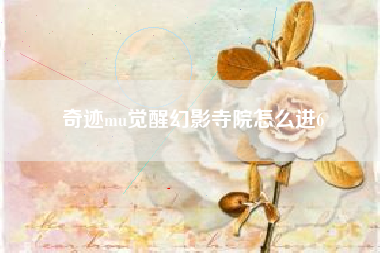 奇迹mu觉醒幻影寺院怎么进6