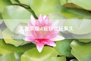王者荣耀ak皮肤试玩多久