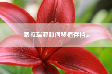 泰拉瑞亚如何移植存档pc