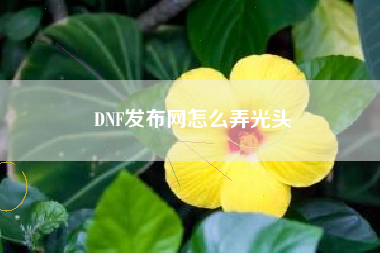 DNF发布网怎么弄光头