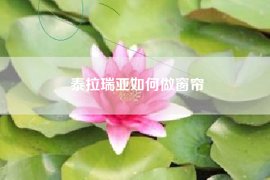 泰拉瑞亚如何做窗帘