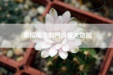泰拉瑞亚如何设置大地图