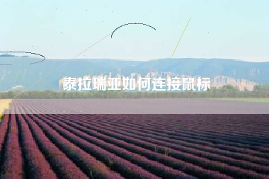 泰拉瑞亚如何连接鼠标