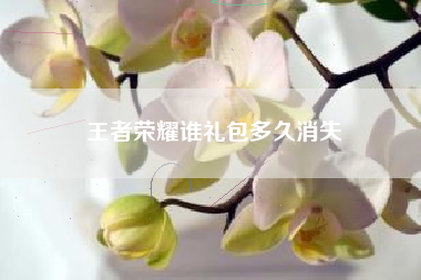 王者荣耀谁礼包多久消失