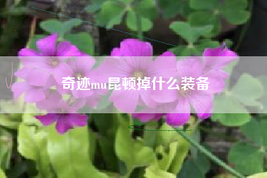 奇迹mu昆顿掉什么装备