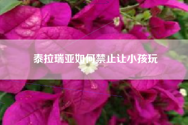 泰拉瑞亚如何禁止让小孩玩