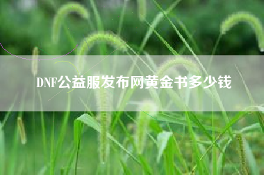 DNF公益服发布网黄金书多少钱