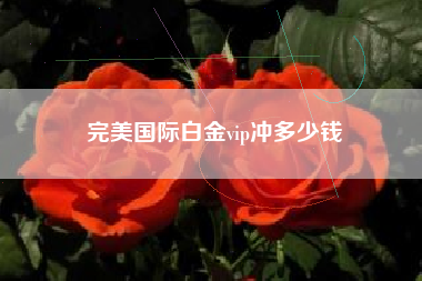完美国际白金vip冲多少钱