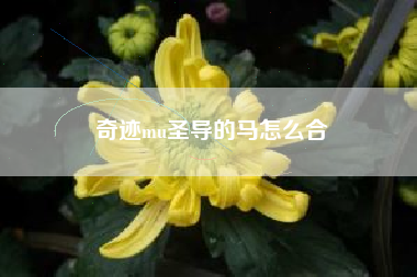 奇迹mu圣导的马怎么合