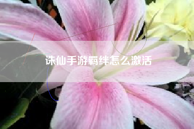 诛仙手游羁绊怎么激活