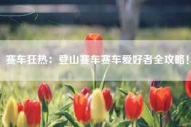 赛车狂热：登山赛车赛车爱好者全攻略！