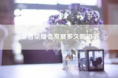 王者荣耀会发展多久啊知乎