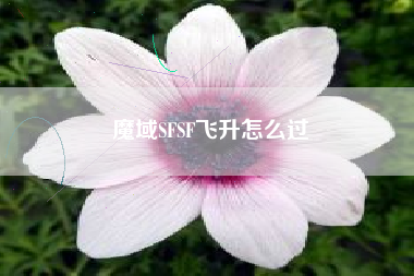 魔域SFSF飞升怎么过
