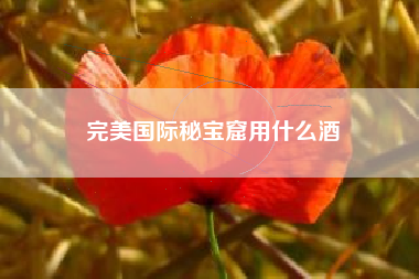 完美国际秘宝窟用什么酒