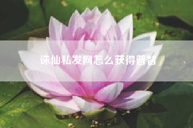 诛仙私发网怎么获得普智
