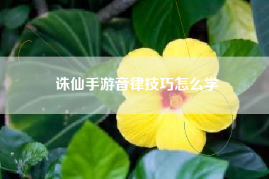 诛仙手游音律技巧怎么学