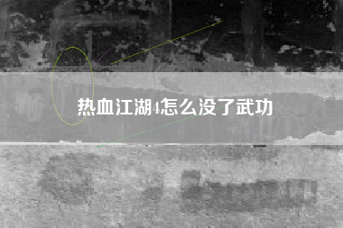 热血江湖4怎么没了武功