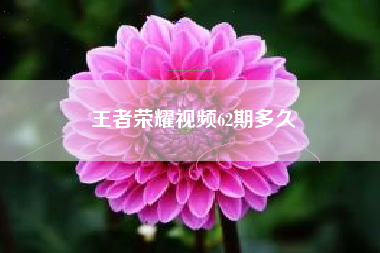 王者荣耀视频62期多久