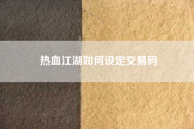 热血江湖如何设定交易码