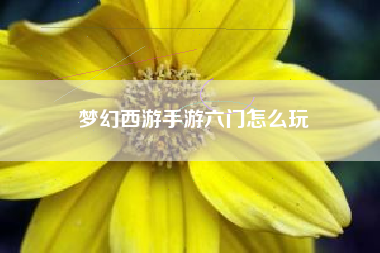 梦幻西游手游六门怎么玩