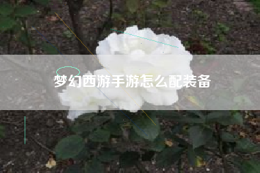 梦幻西游手游怎么配装备
