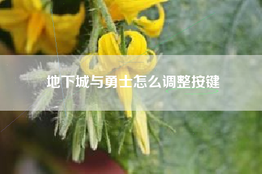地下城与勇士怎么调整按键