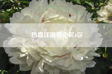 热血江湖哪个区6区